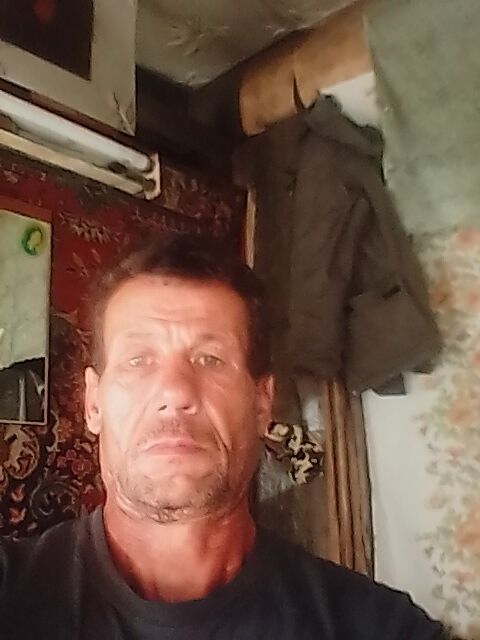  28142276  , 51 ,    