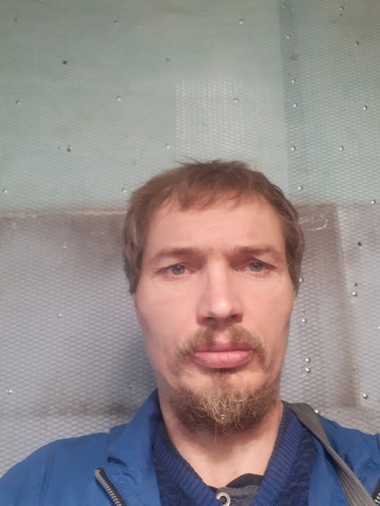  22228206  , 50 ,    