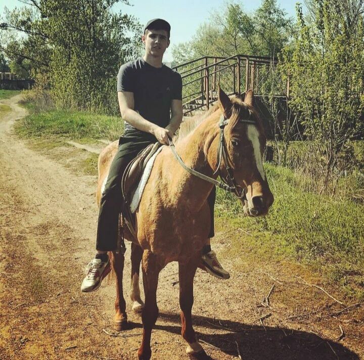 ���������� ���������, ���� ������� �������, 31 ���, ������������ ��� ������, ����� � ���������