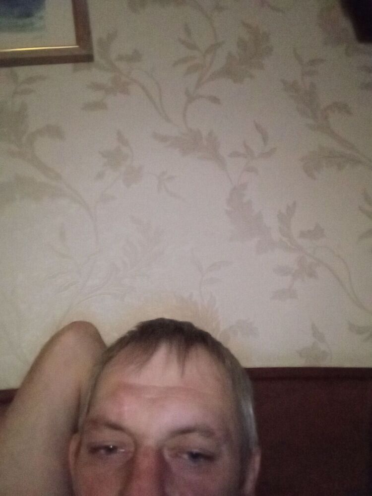  41097746  , 38 ,    