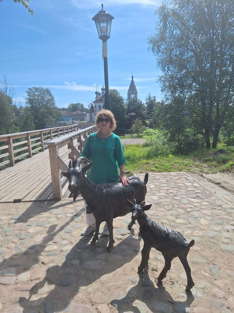 ���� 53797246 ������� ����, 99 ���, ���� ���������� � ���������