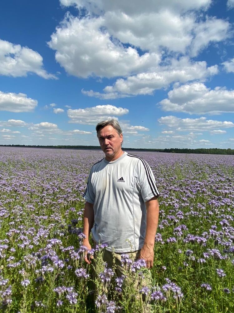 ���������� ������, ���� ������� ������, 50 ���, ������������ ��� ������, ����� � ���������