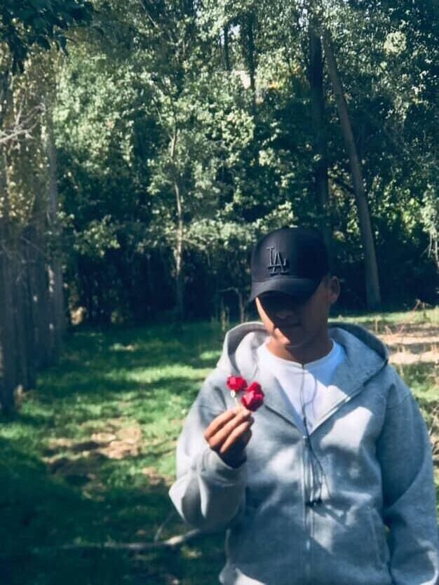  53858396  , 24 ,    -