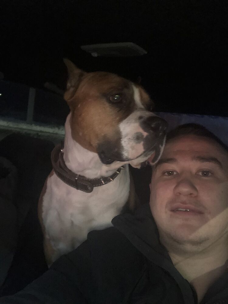 ���� 31389196 ������� �����, 30 ���, ���� ���������� � ��������������-����������