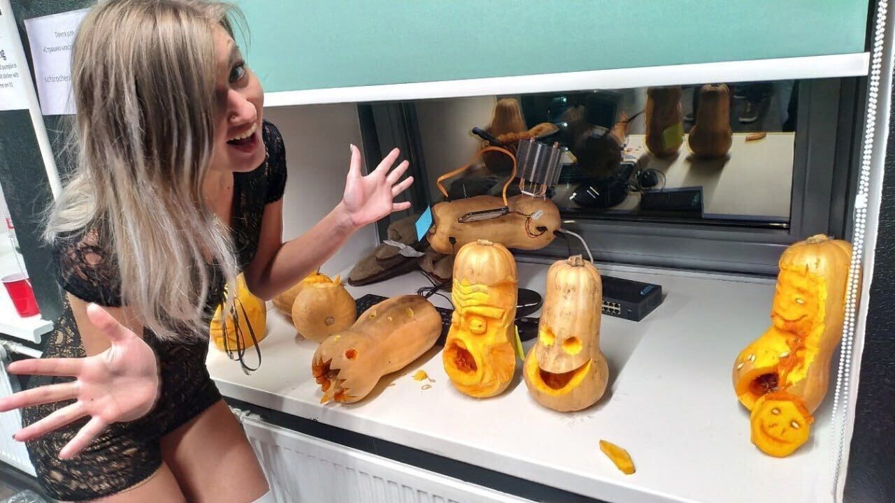  36527206  , 27 ,    -