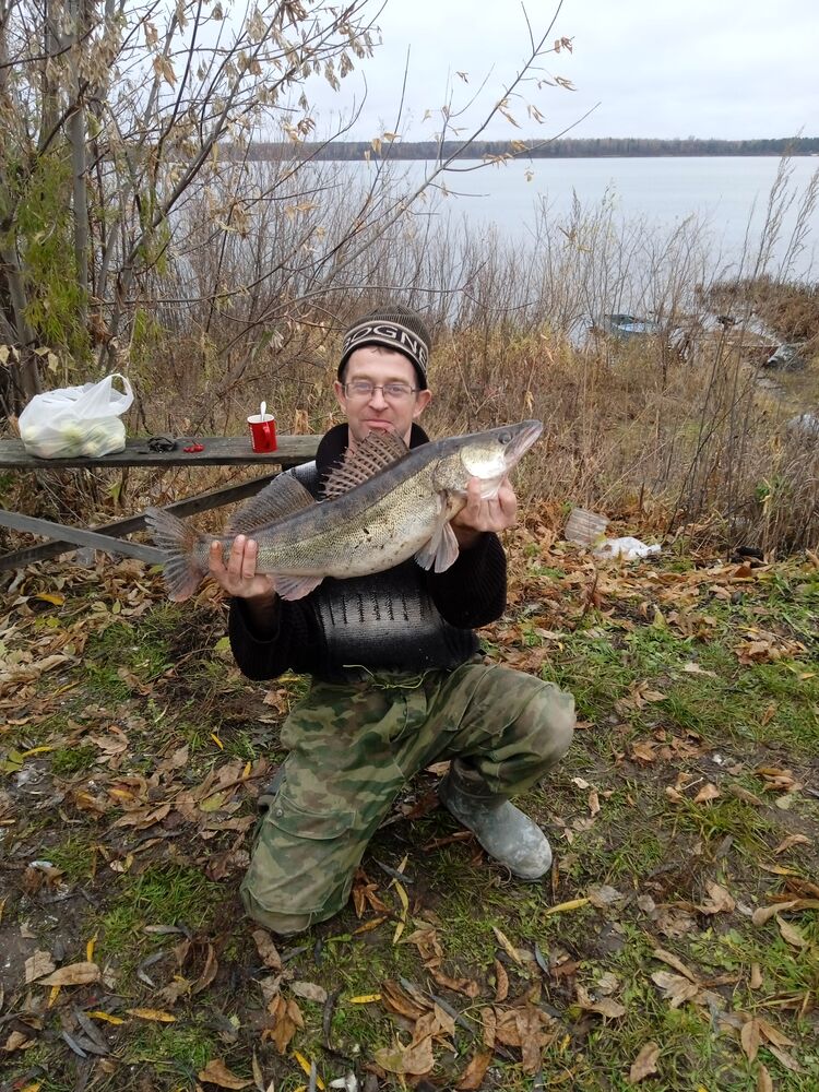 ���������� ������ ��������, ���� ������� ����������, 42 ����, ������������ ��� ������, ����� � ���������