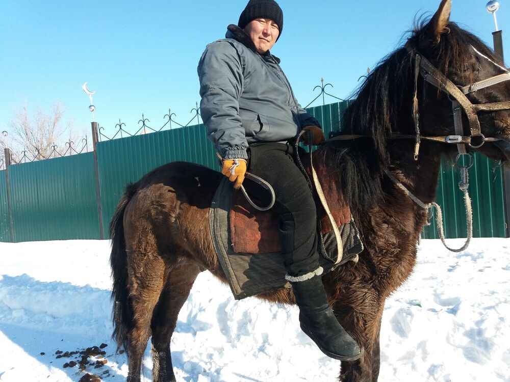 ���� 16707626 ������� �����, 40 ���, ���� ���������� � ���������