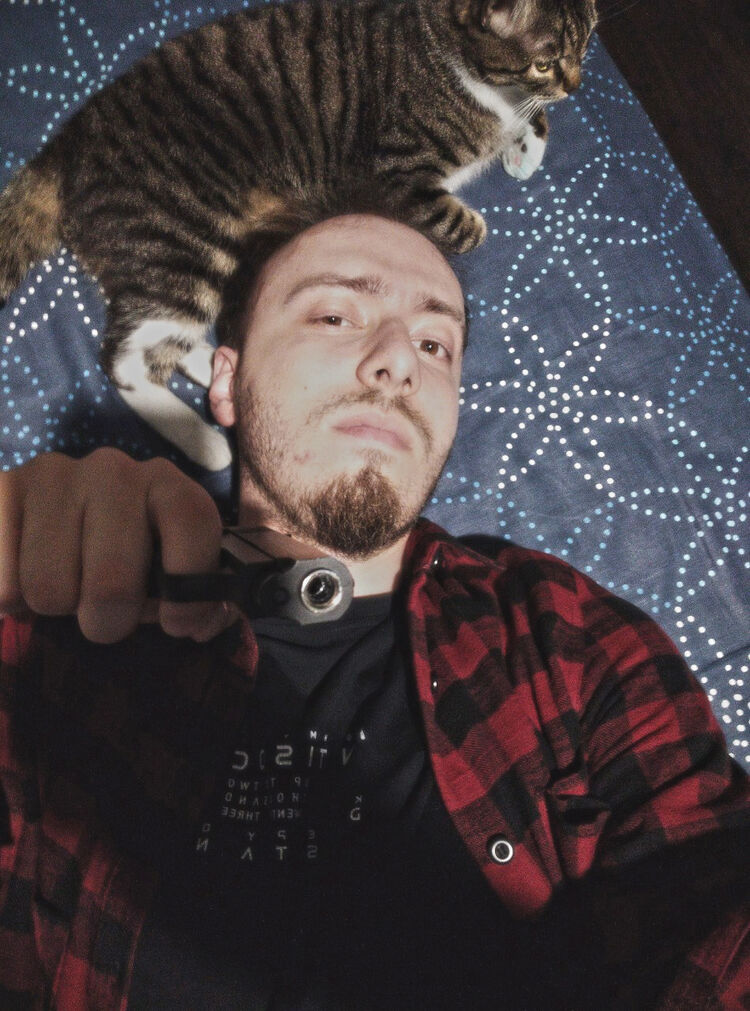 ���� 34392806 ������� ������, 28 ���, ���� ���������� � ����������