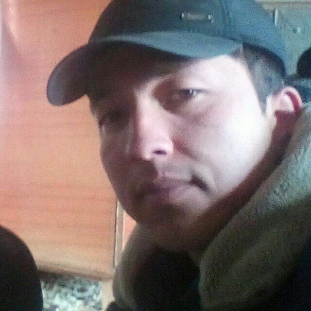  43003926  , 33 ,    