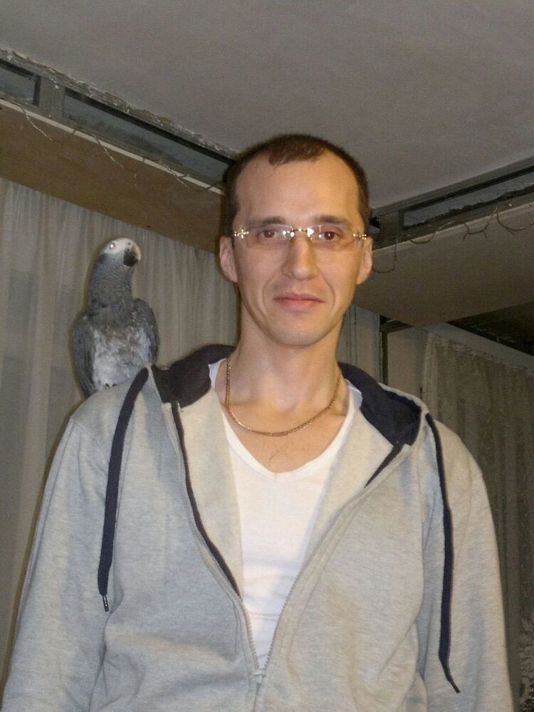  -,   , 43 ,   