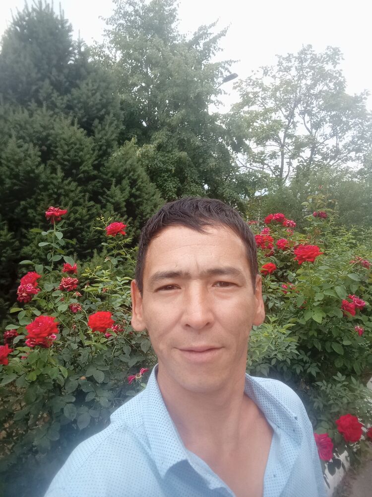 45580456  , 36 ,    