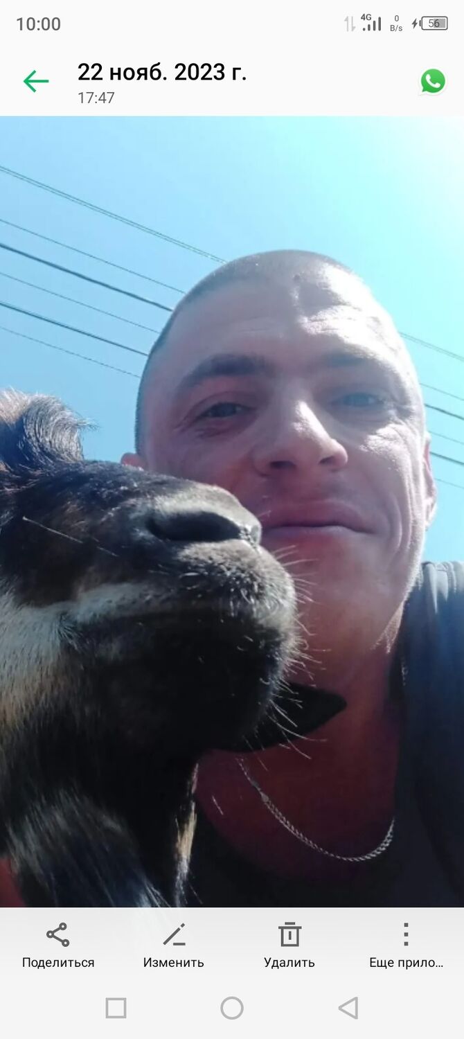 ���������� ������-��-����, ���� ������� �����, 41 ���, ������������ ��� ������, ����� � ���������