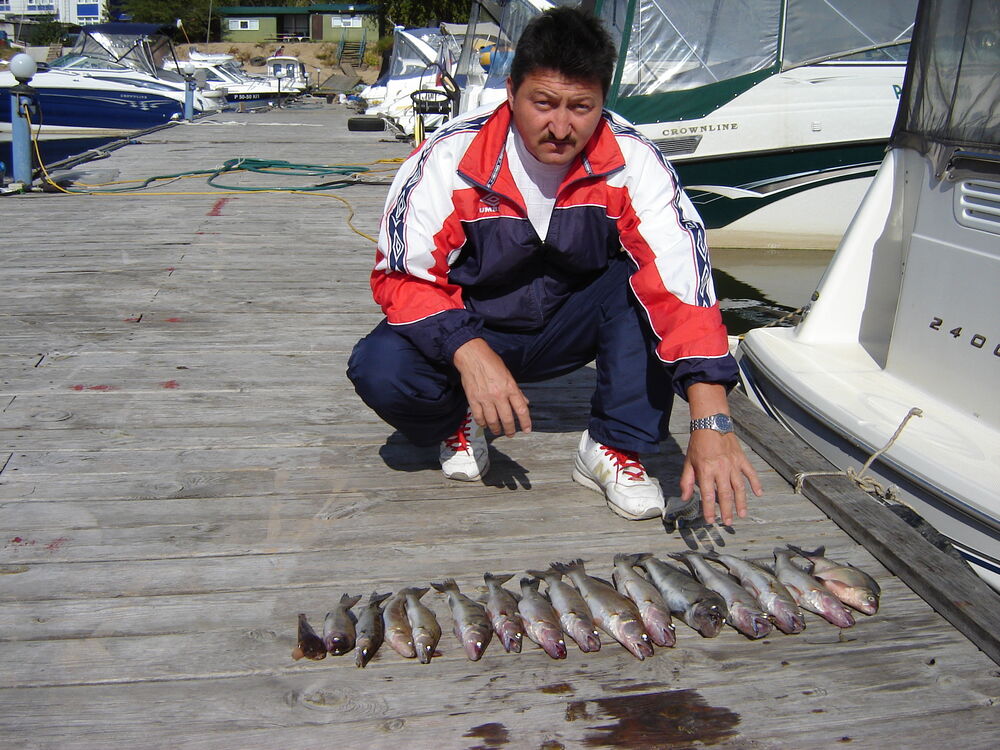 ���� 55132706 ������� ������, 62 ����, ���� ���������� � ��������