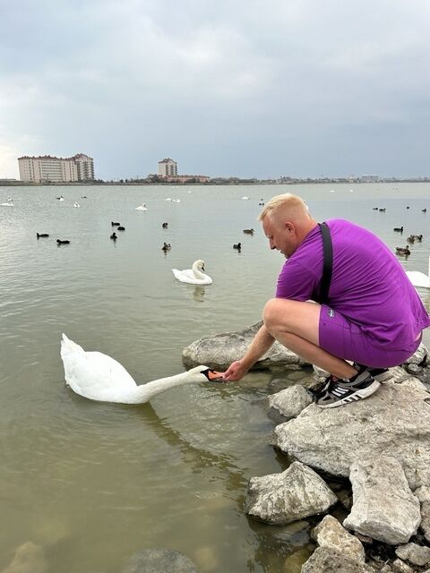 ���������� �������, ���� ������� ���������, 36 ���, ������������ ��� ������, ����� � ���������