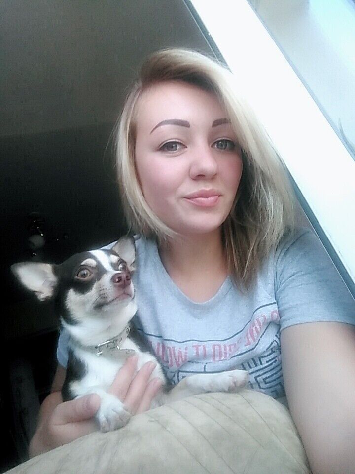 ���������� ���������, ���� ������� �����, 33 ����, ������������ ��� ������, ����� � ���������, c�������� ���������, ���������