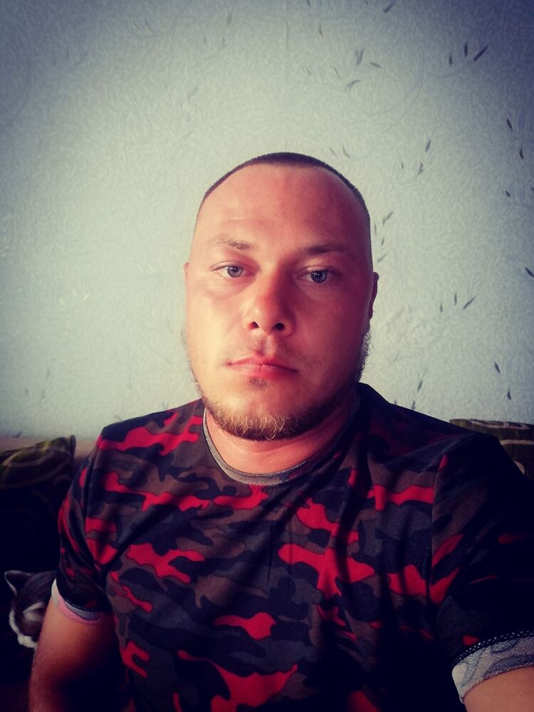  49336906  , 31 ,    