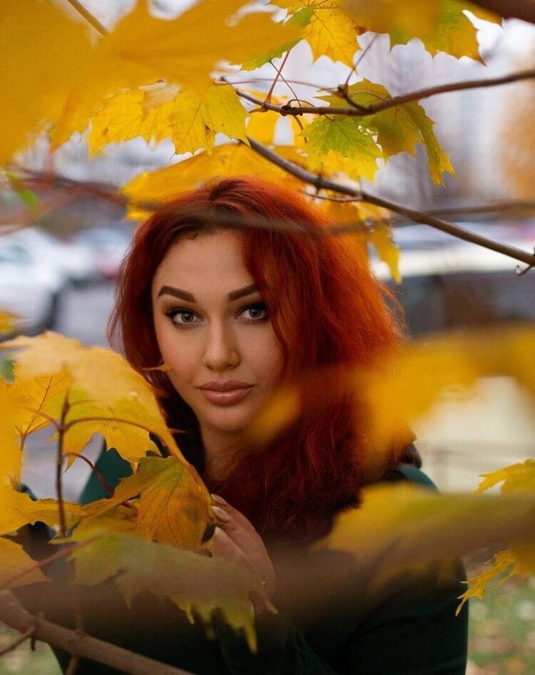  28831716  , 42 ,    -