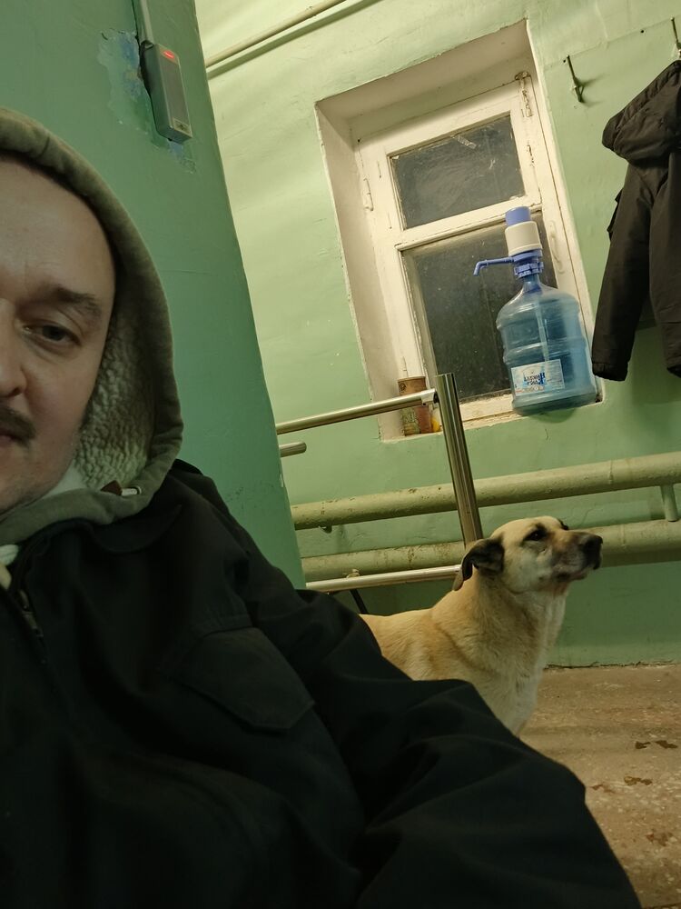 ���� 56044356 ������� �������, 49 ���, ���� ���������� � ����������