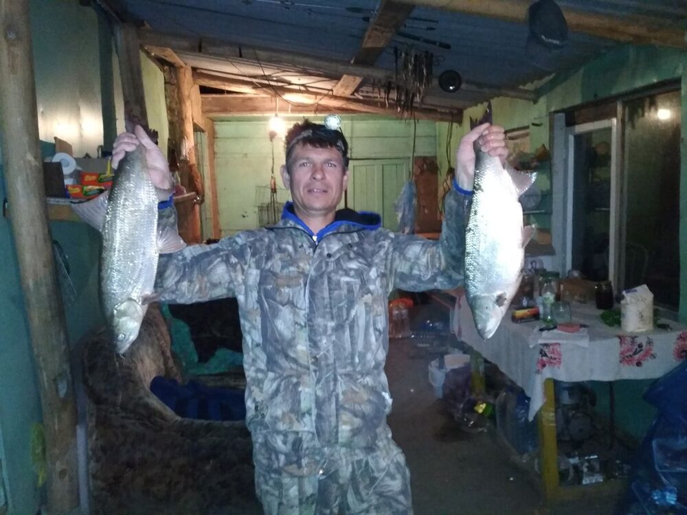 ���������� ���������, ���� ������� ��������, 48 ���, ������������ ��� ������, ����� � ���������, c�������� ���������