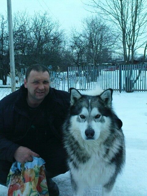 ���������� �����, ���� ������� ������, 51 ���, ������������ ��� ������, ����� � ���������, c�������� ���������