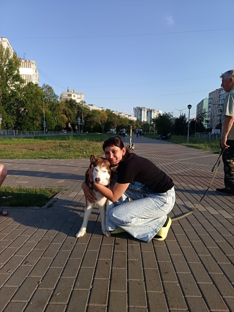 ���� 55213156 ������� ����, 28 ���, ���� ���������� � �����������