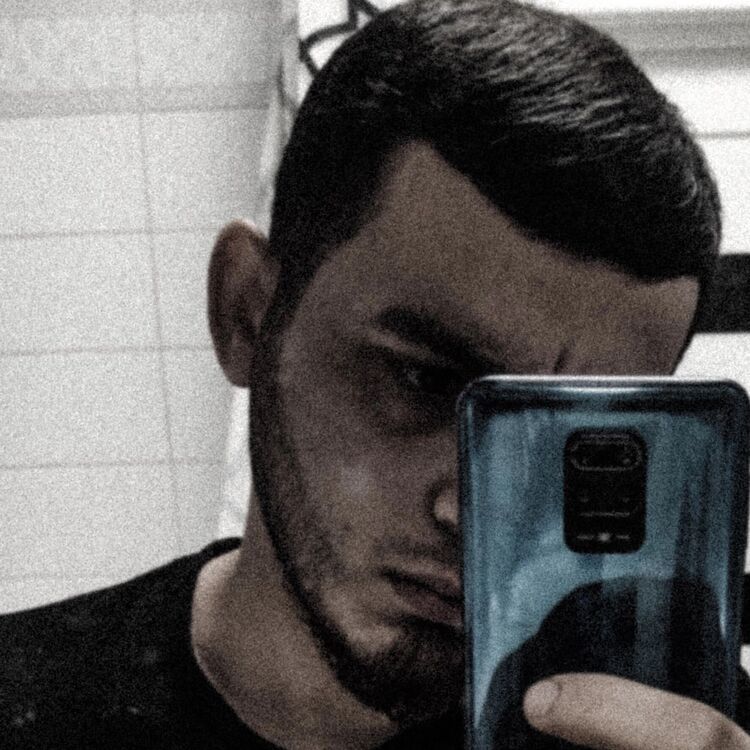  31276016  , 24 ,    -