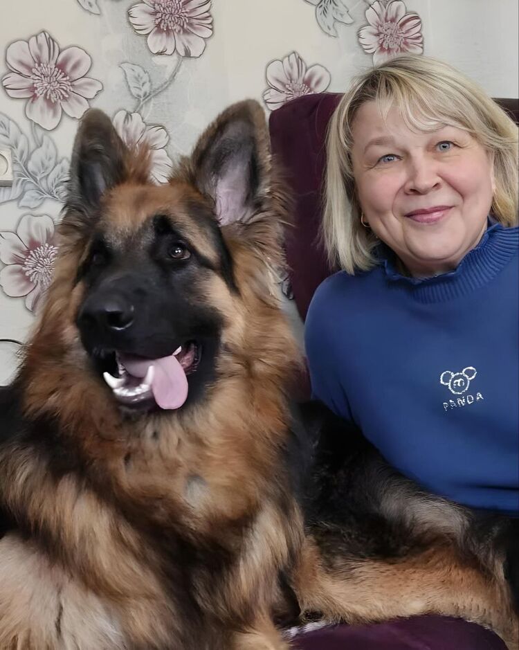 ���� 55927386 ������� �������, 56 ���, ���� ���������� � ���������