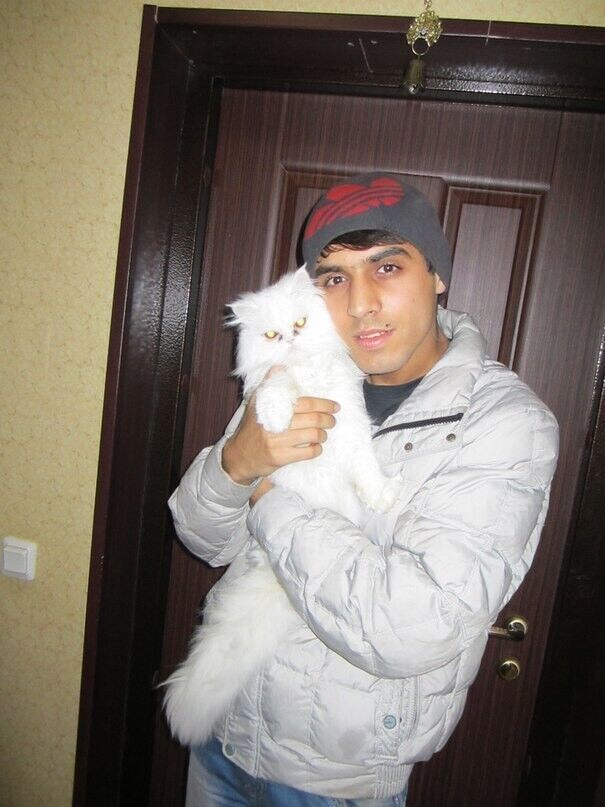 ���������� ����, ���� ������� ���, 33 ����, ������������ ��� ������, ����� � ���������, c�������� ���������