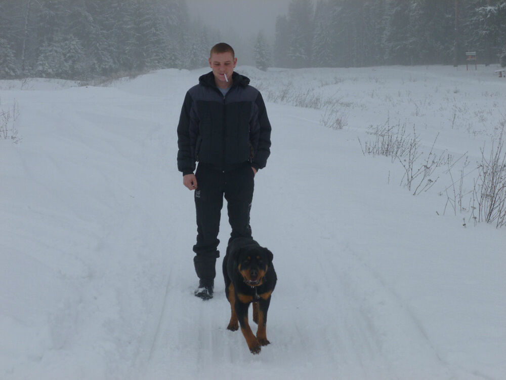 ���� 25369916 ������� ������, 36 ���, ���� ���������� � �������