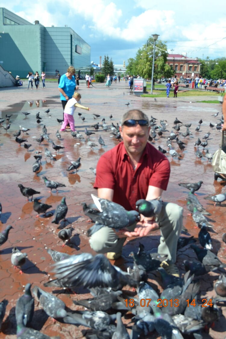 ���� 8066036 ������� �����, 52 ����, ���� ���������� � ������