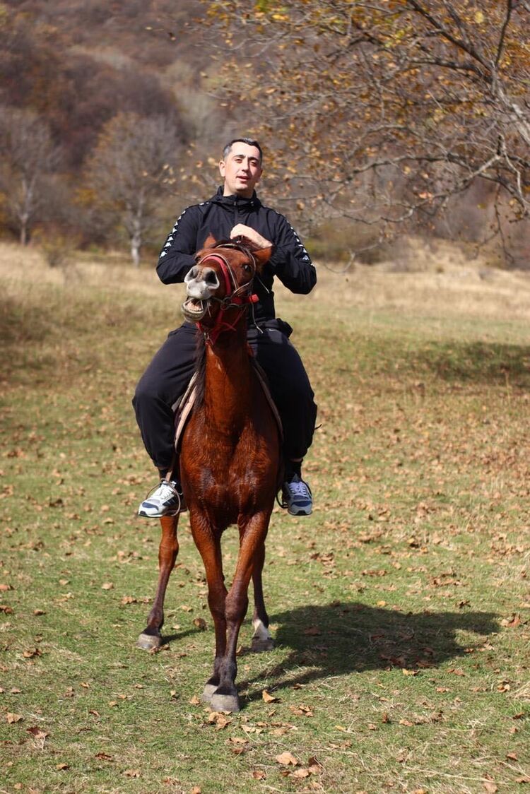  53233246  , 27 ,    --