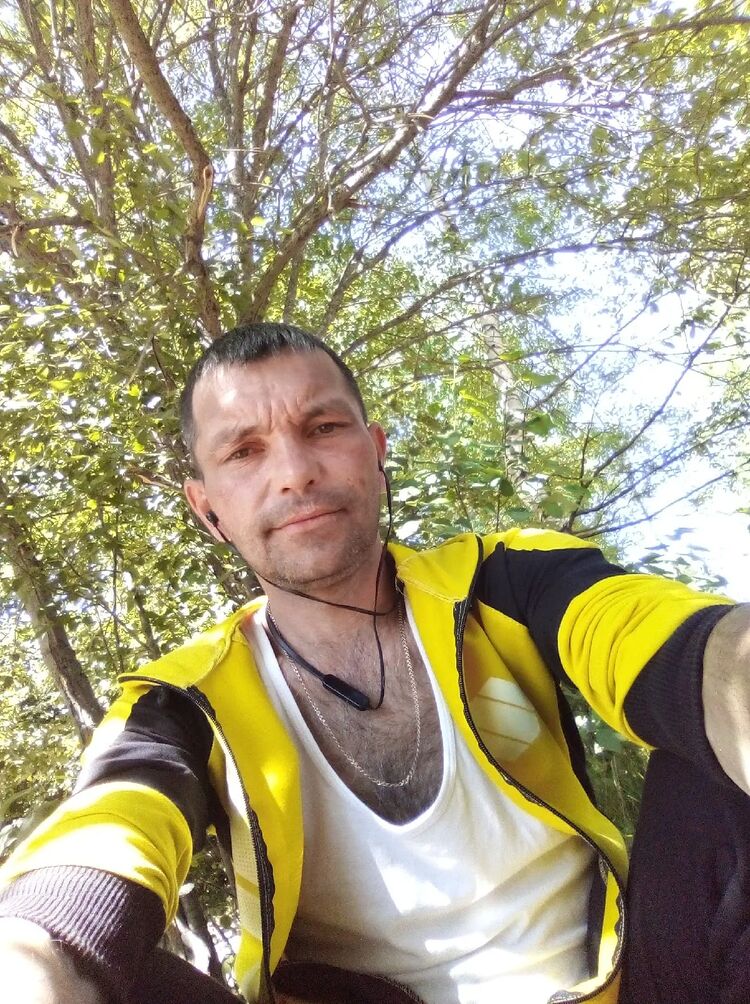  47324726  , 43 ,    