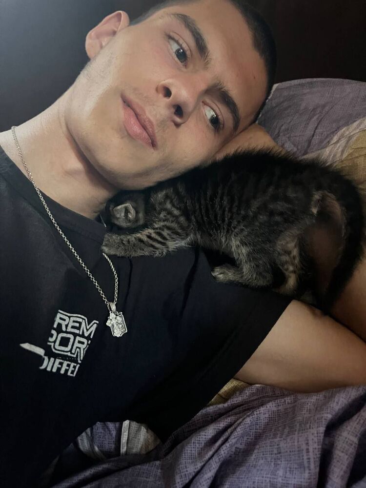 ���������� ������, ���� ����� �����, 19 ���, ������������ ��� ������, ����� � ���������