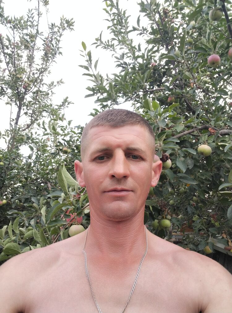  54153466  , 39 ,    -