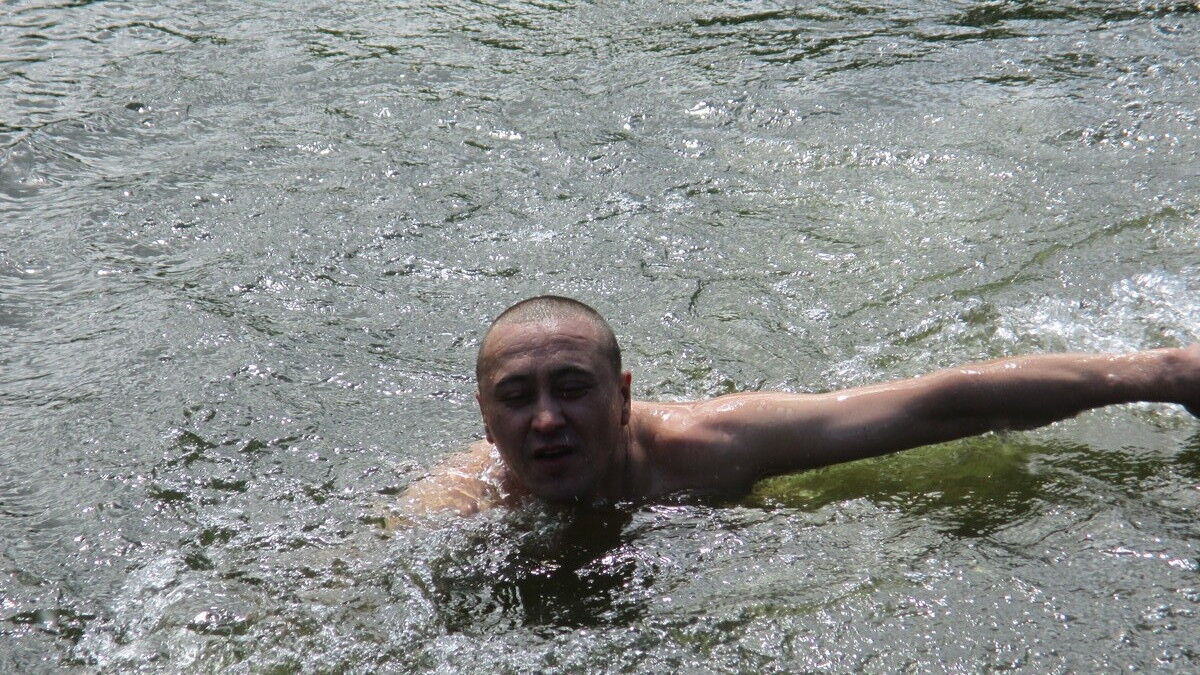  8077666  TAGIR, 50 ,    