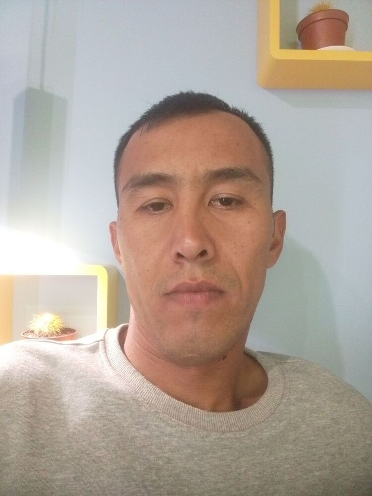  36021096  , 33 ,    