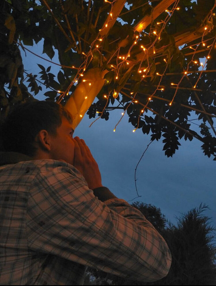 ���������� ������, ���� ����� ����, 20 ���, ������������ ��� ������, ����� � ���������, ���������