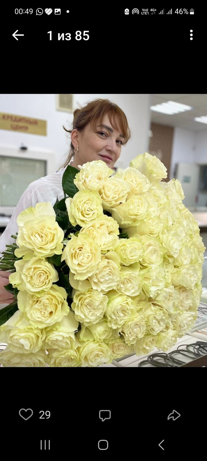 ���������� ���, ���� ������� �����, 41 ���, ������������ ��� ������, ����� � ���������