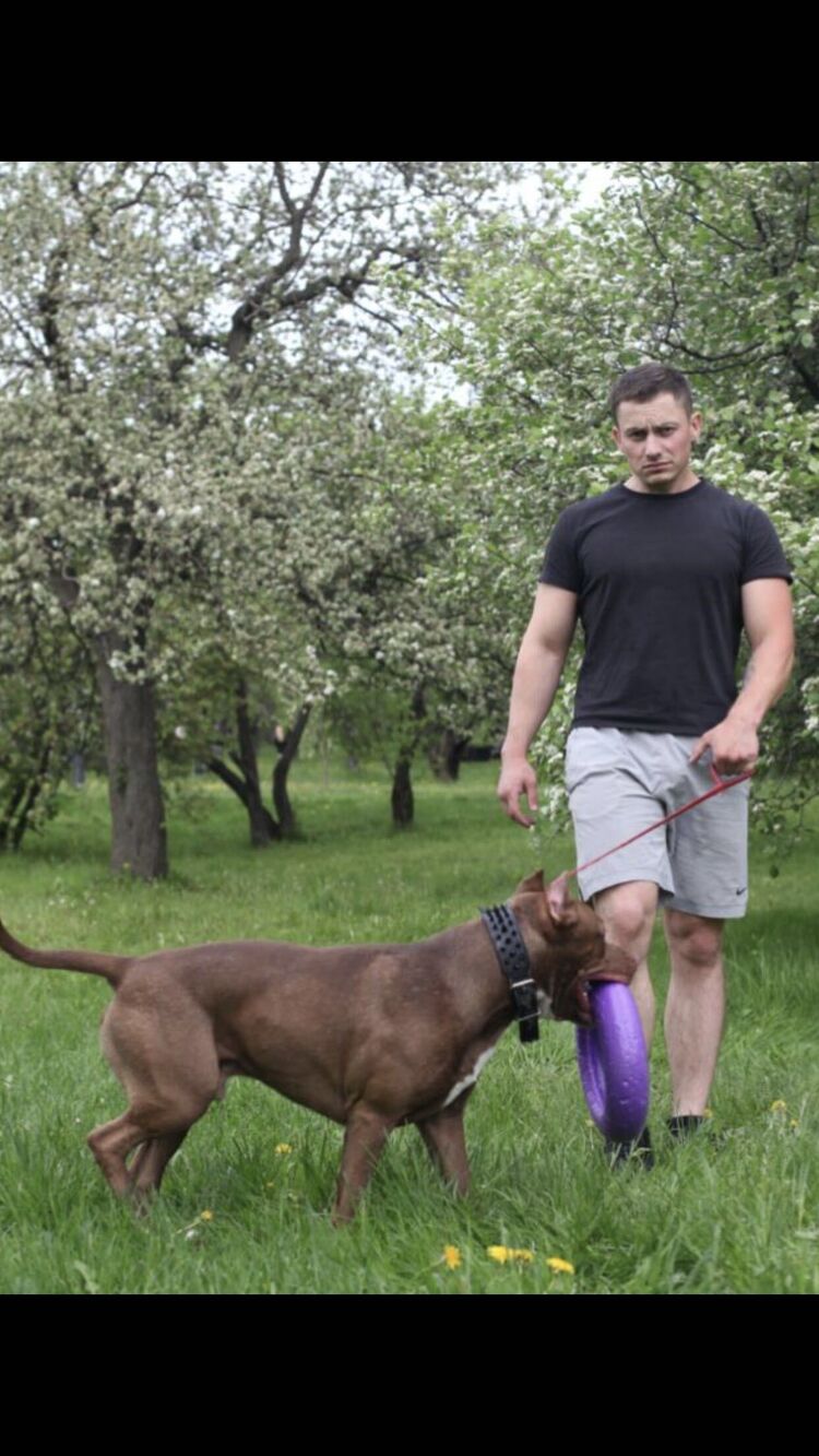 ���������� ������, ���� ������� ��������, 36 ���, ������������ ��� ������, ����� � ���������