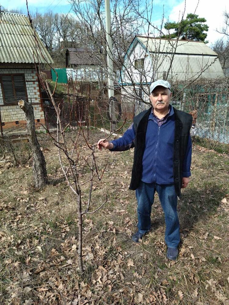 ���� 50938636 ������� �������, 68 ���, ���� ���������� � ��������