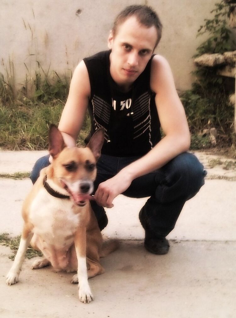 ���������� �������, ���� ������� �������, 38 ���, ������������ ��� ������, ����� � ���������, c�������� ���������