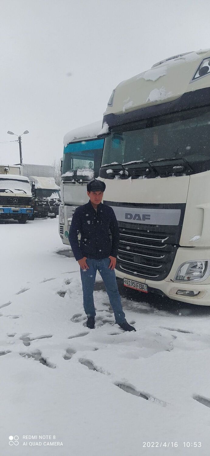 ���� 27480866 ������� ��������, 36 ���, ���� ���������� � �������