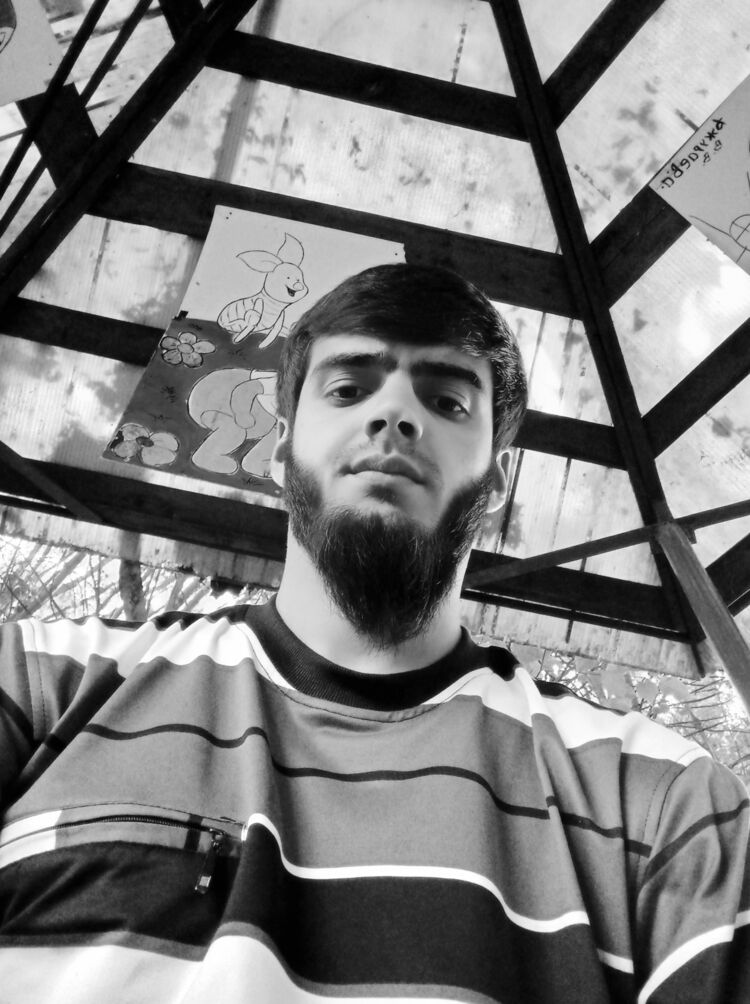 ���� 31229056 ������� �����, 28 ���, ���� ���������� � ������