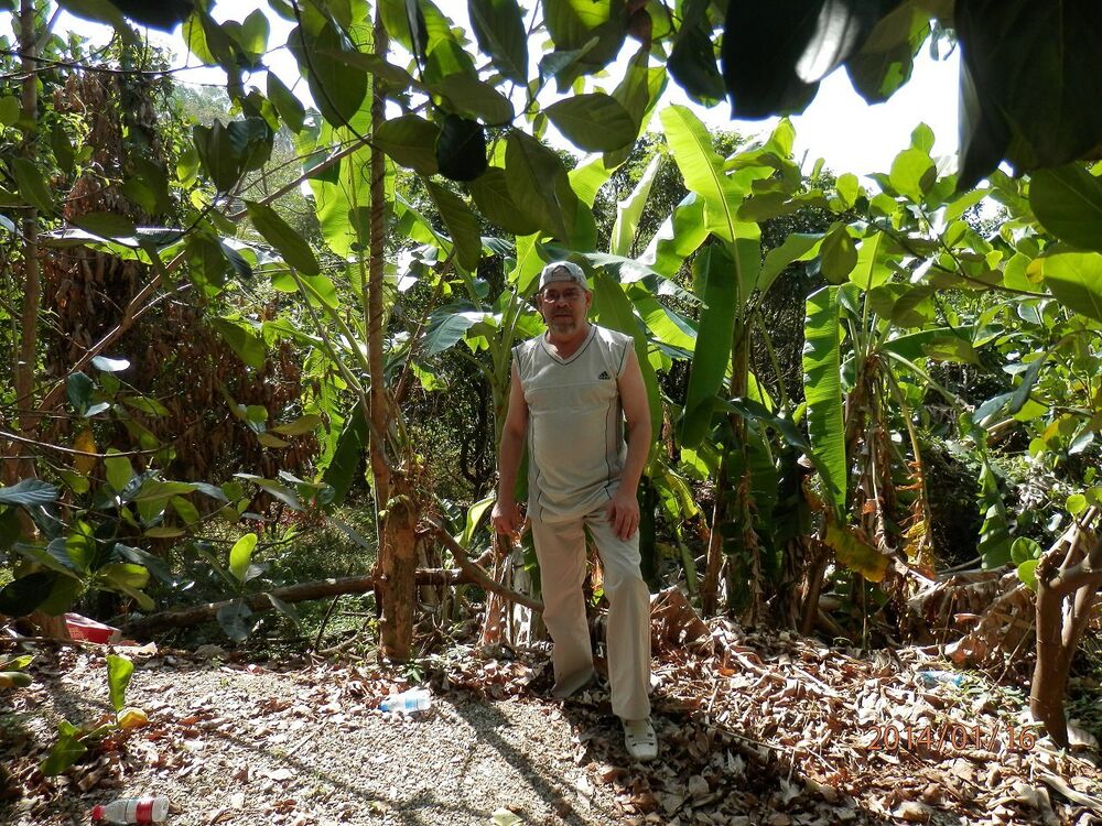 ���������� ������, ���� ������� ����, 68 ���, ������������ ��� ������, ����� � ���������