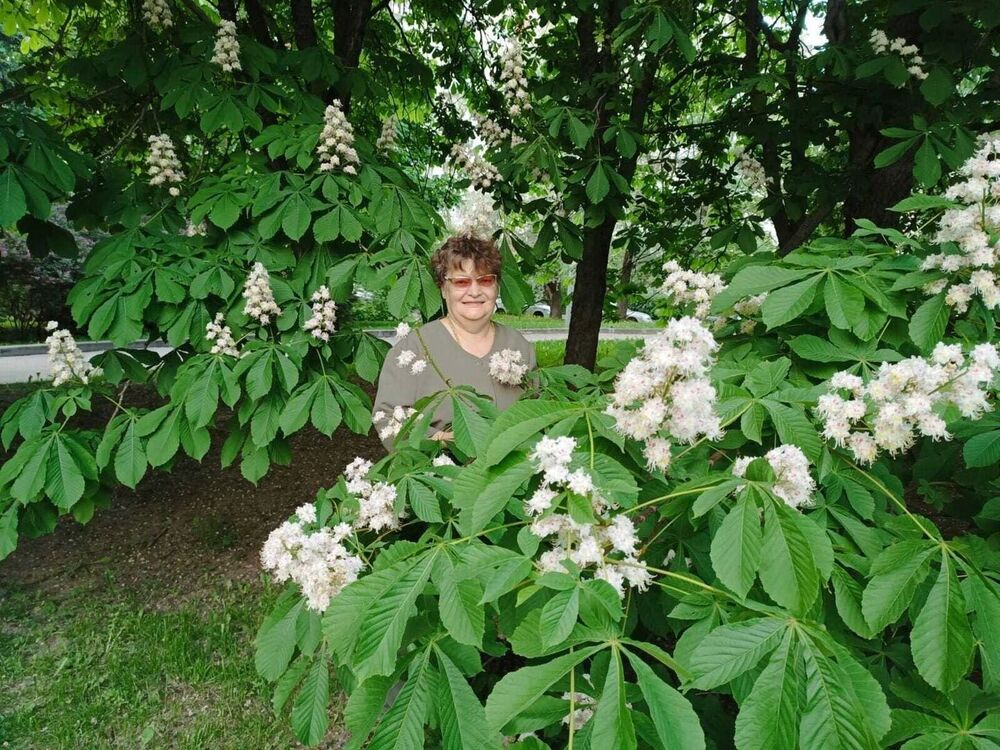 ���������� ����, ���� ������� ������, 69 ���, ������������ ��� c�������� ���������, ���������