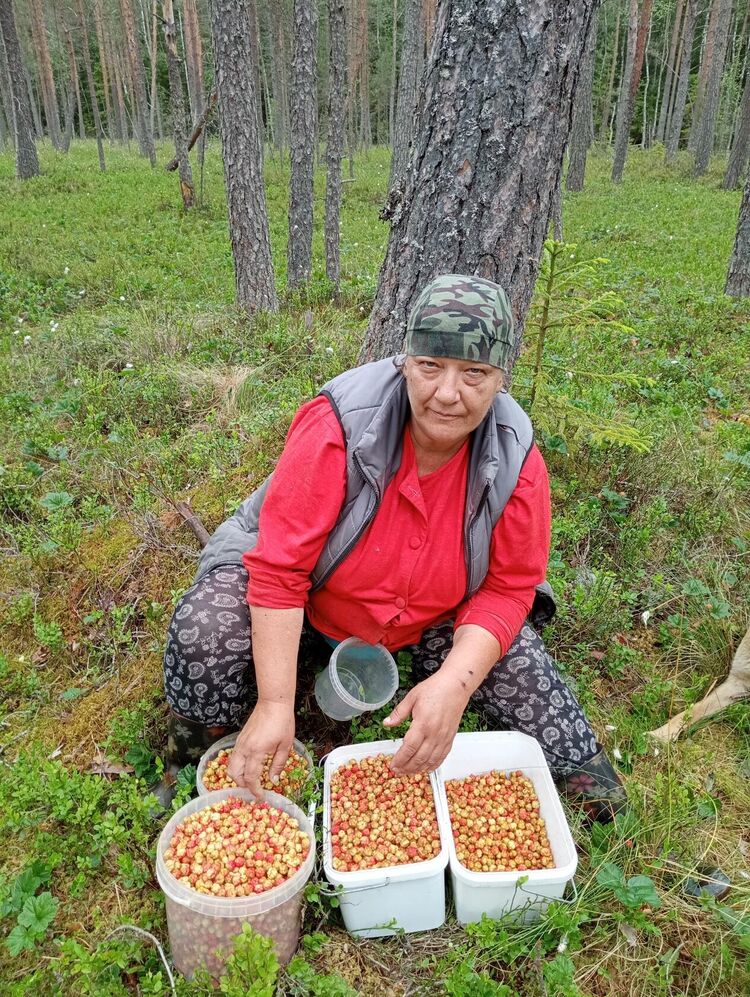 ���������� �������� �����, ���� ������� Olga, 52 ����, ������������ ��� c�������� ���������, ���������