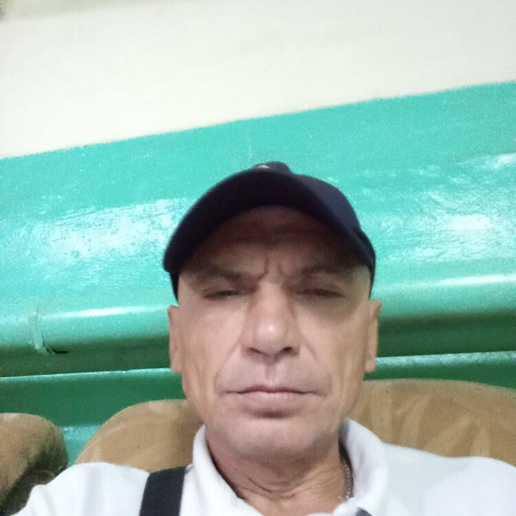 24438486  , 52 ,    -