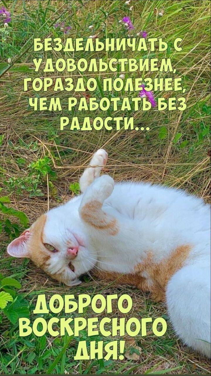 ���� 46124796 ������� ����, 30 ���, ���� ���������� � ��������