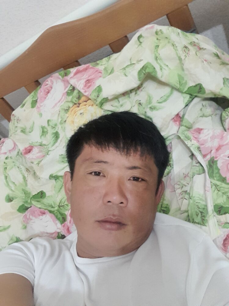  33047086  , 40 ,    