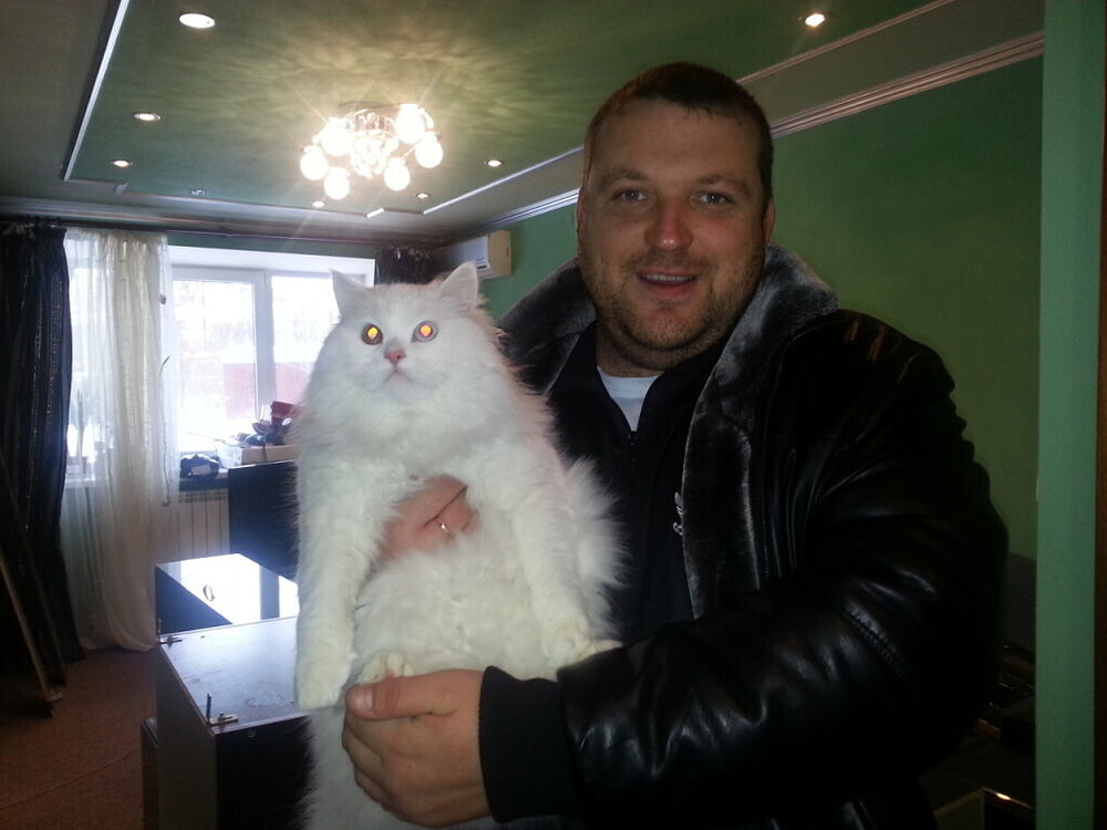 ���������� ������, ���� ������� �����, 45 ���, ������������ ��� ������